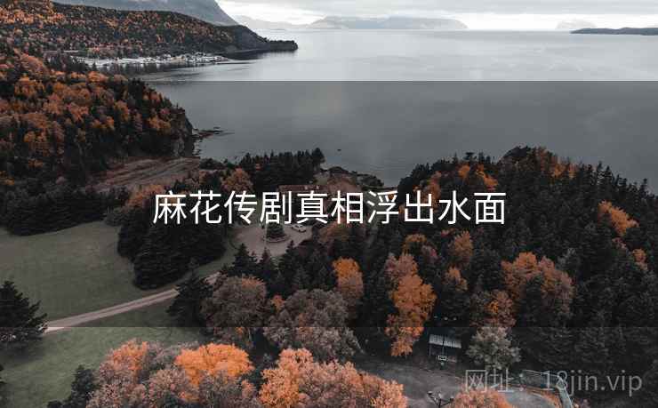 麻花传剧真相浮出水面